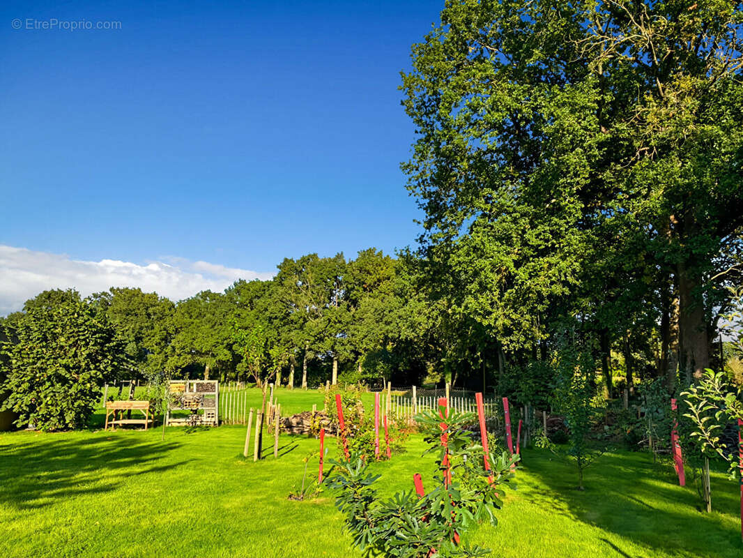 Maison à THORIGNE-FOUILLARD