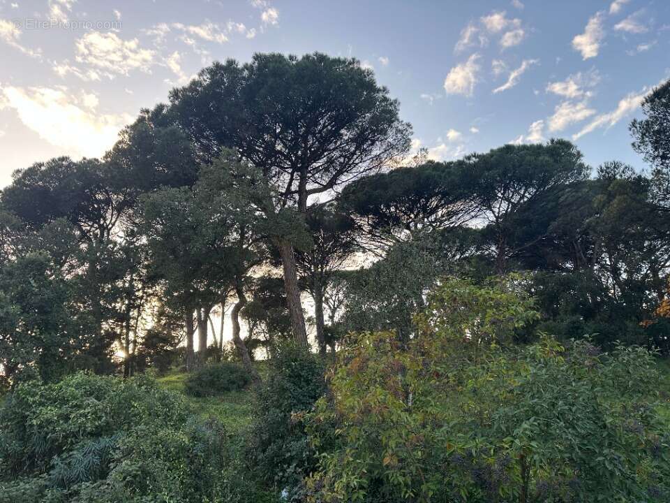 Terrain à SAINTE-MAXIME