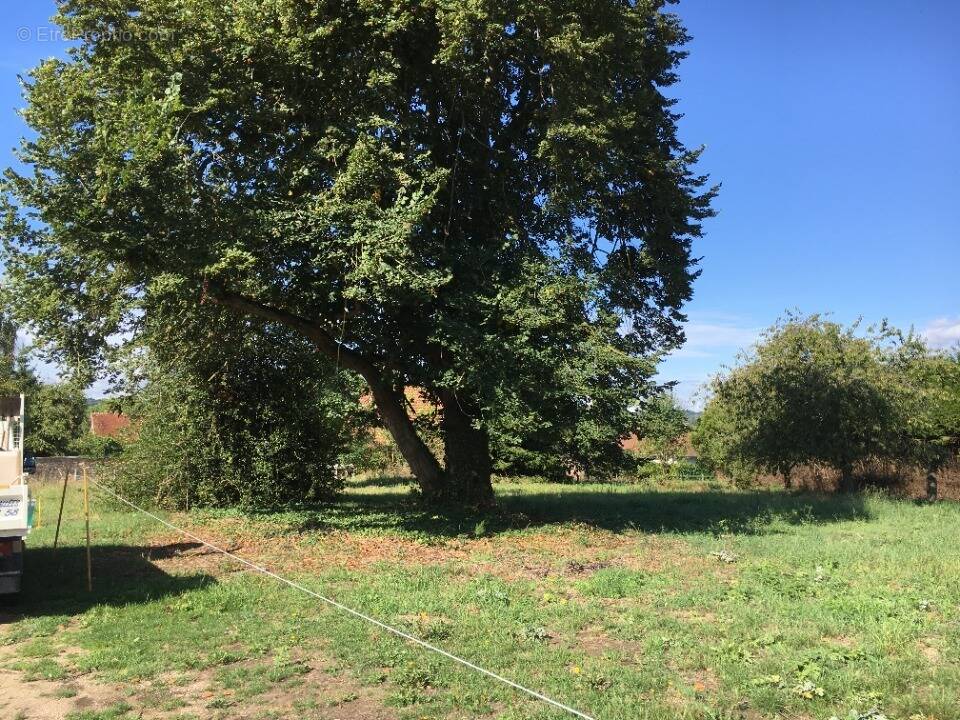 Terrain à BAZOCHES-SUR-GUYONNE