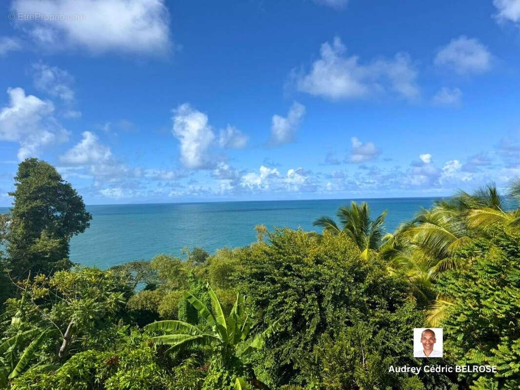 Appartement à LE MARIGOT