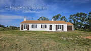 Maison à NOTRE-DAME-DE-MONTS