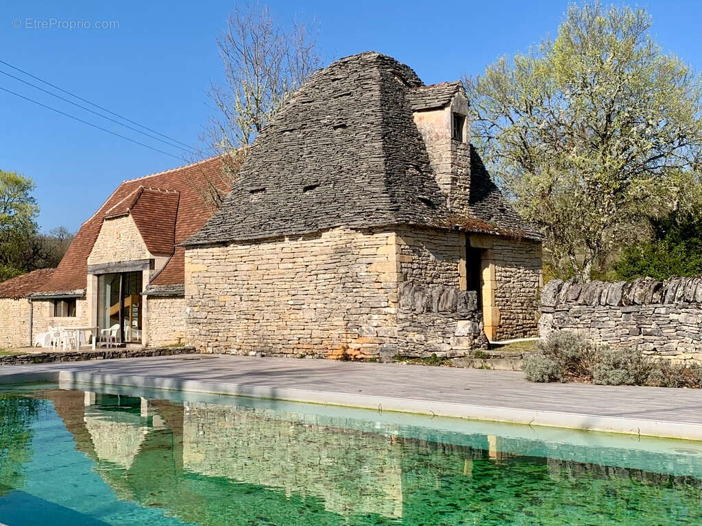 Propriété en pierre - 2 maisons indépendantes, piscine, dépendances, terrain de près d'1 Hectare - Catus - photo 4