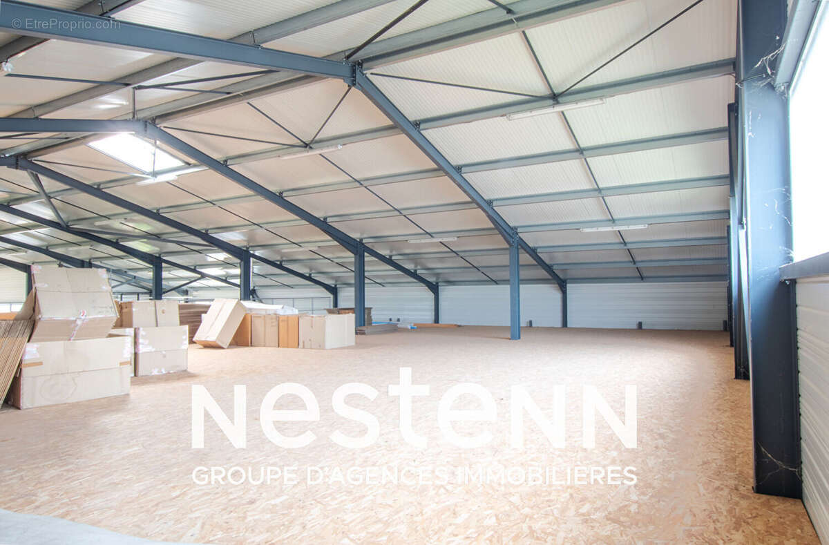 Commerce à PAMPELONNE