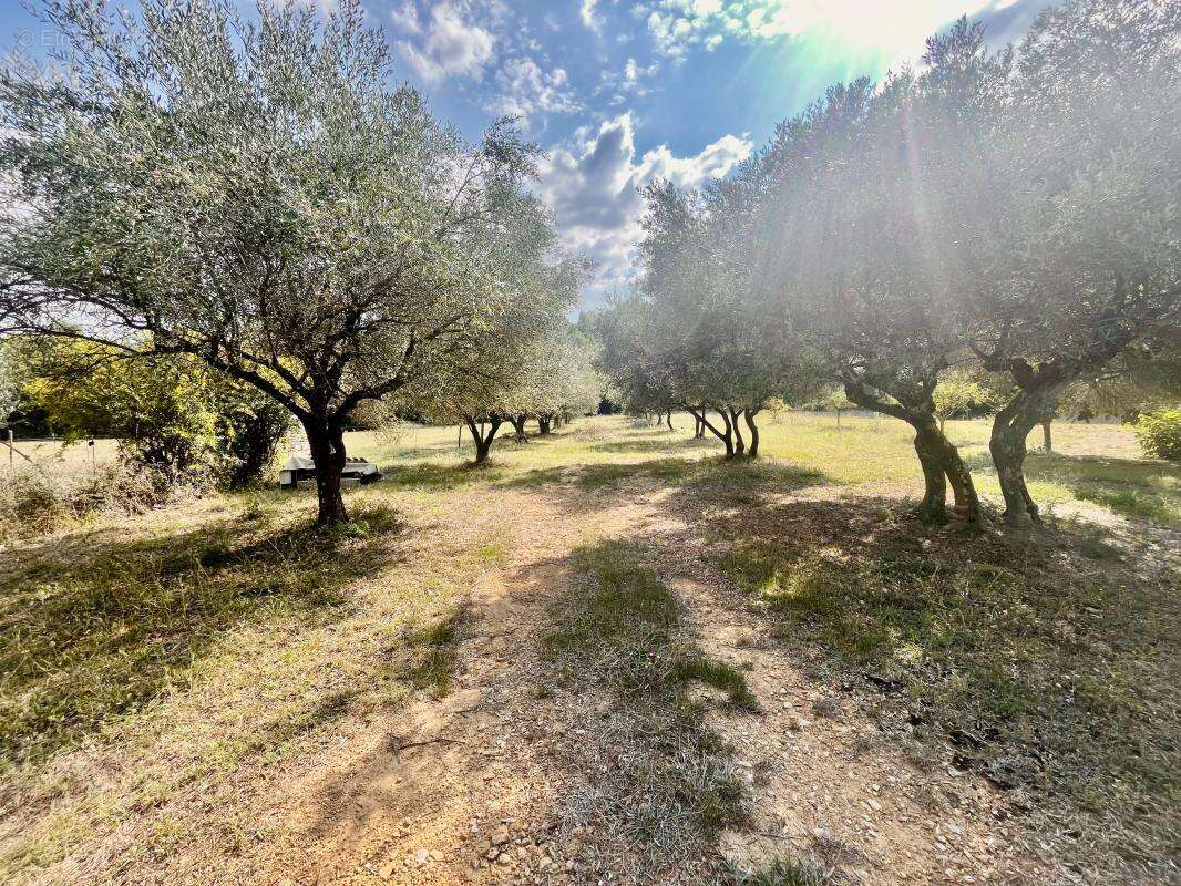 Mas sur magnifique terrain à deux pas de Uzès - photo 13