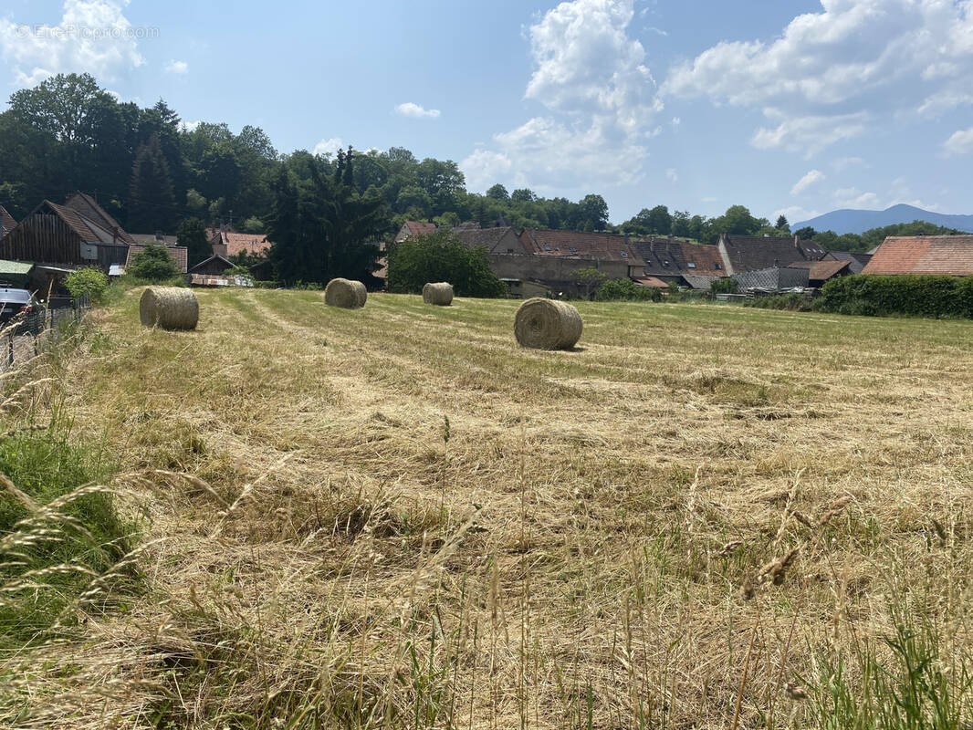 Terrain à NIEDERHASLACH