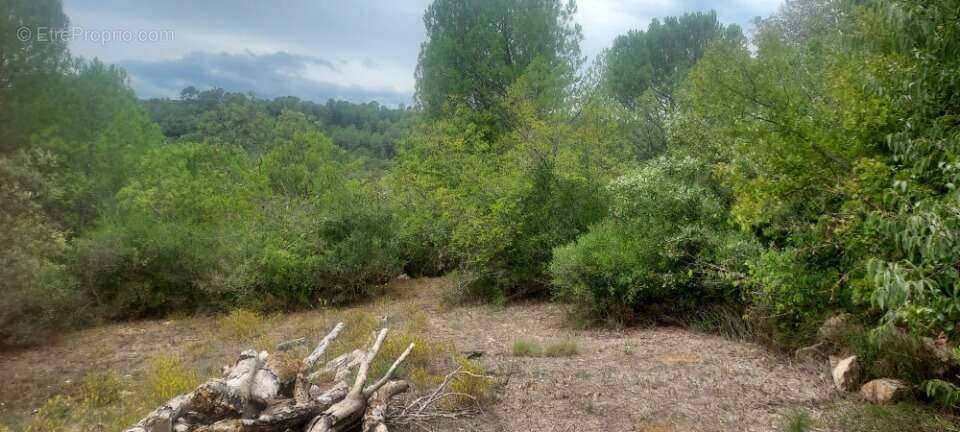Terrain 620 m² à Camps-La-Source  - photo 3