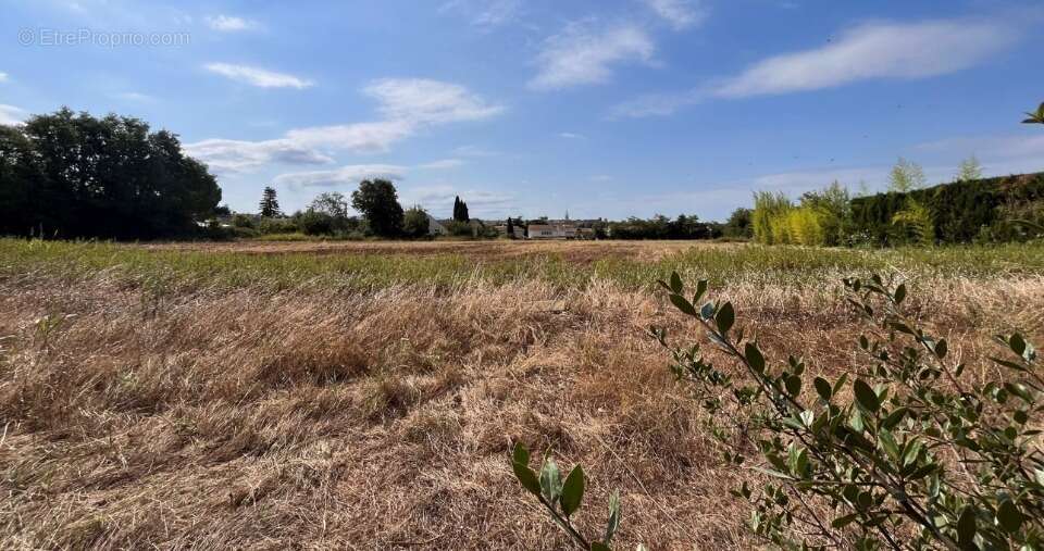 Terrain à CARPENTRAS