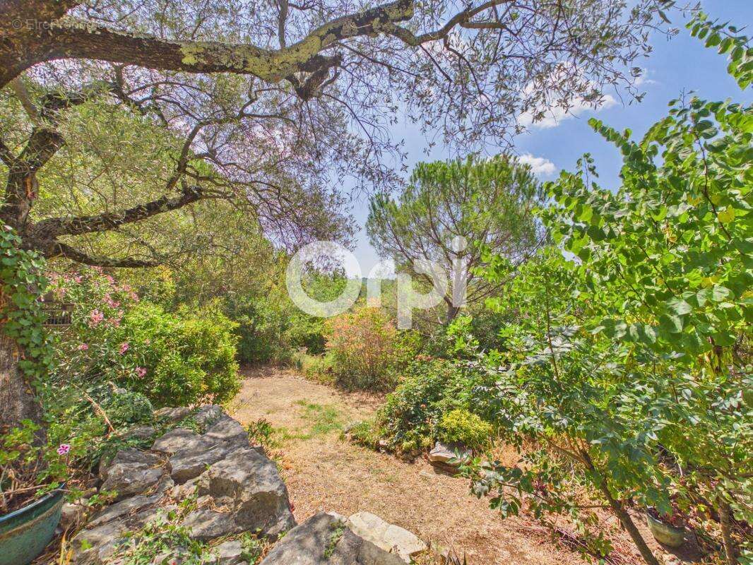 Bastide/mas en pierres authentique renové - calme absolu - terrain / oliviers - photo 16