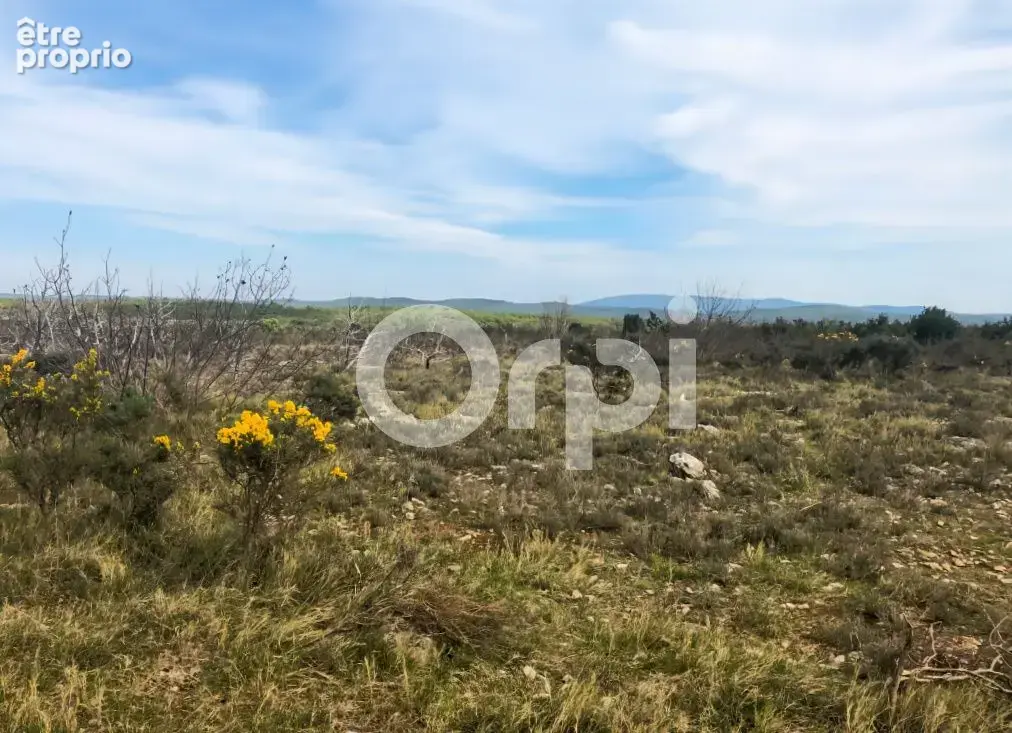 Terrain non constructible 21 025 m² - photo 2
