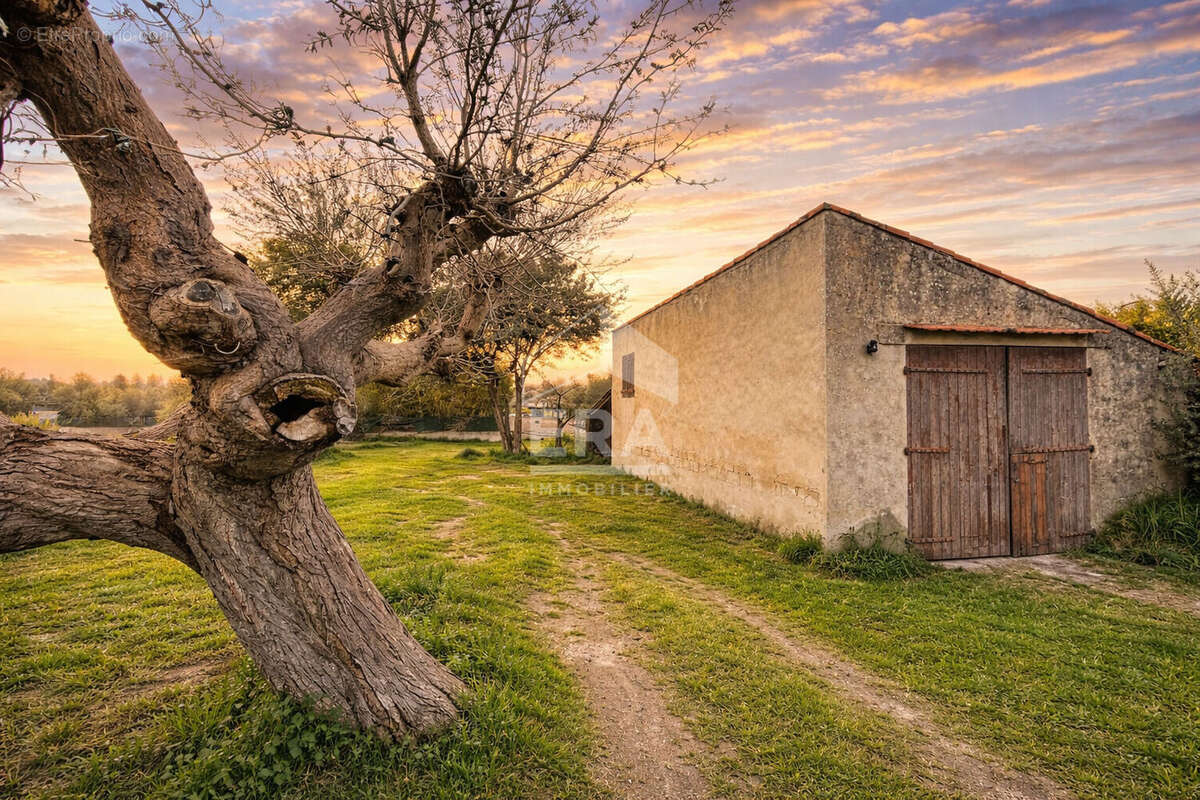 Terrain à LES PENNES-MIRABEAU