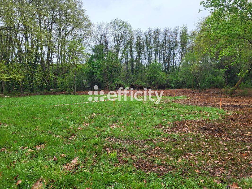 Terrain à MARTILLAC