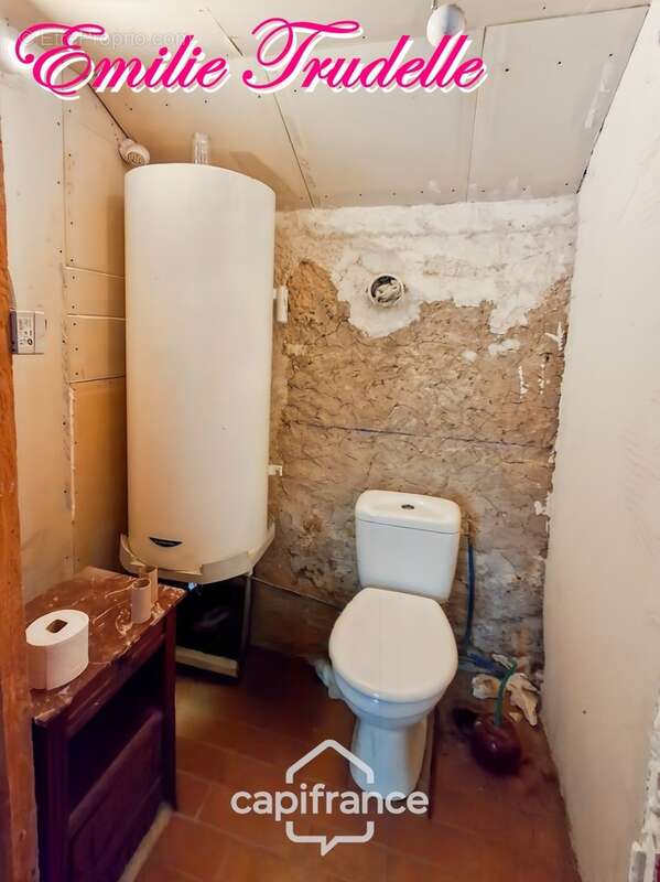 Maison à vendre 4 pièces LHOMME (72)  Propriété de caractère sur plus de 6 hectares en bord du Loir - photo 25