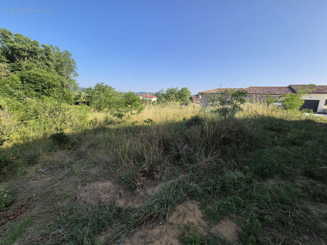 Terrain constructible de 543 m2 - photo 2