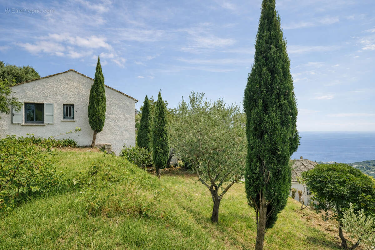 Maison à BRANDO