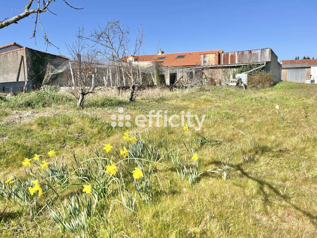 Terrain à PONT-SAINT-MARTIN