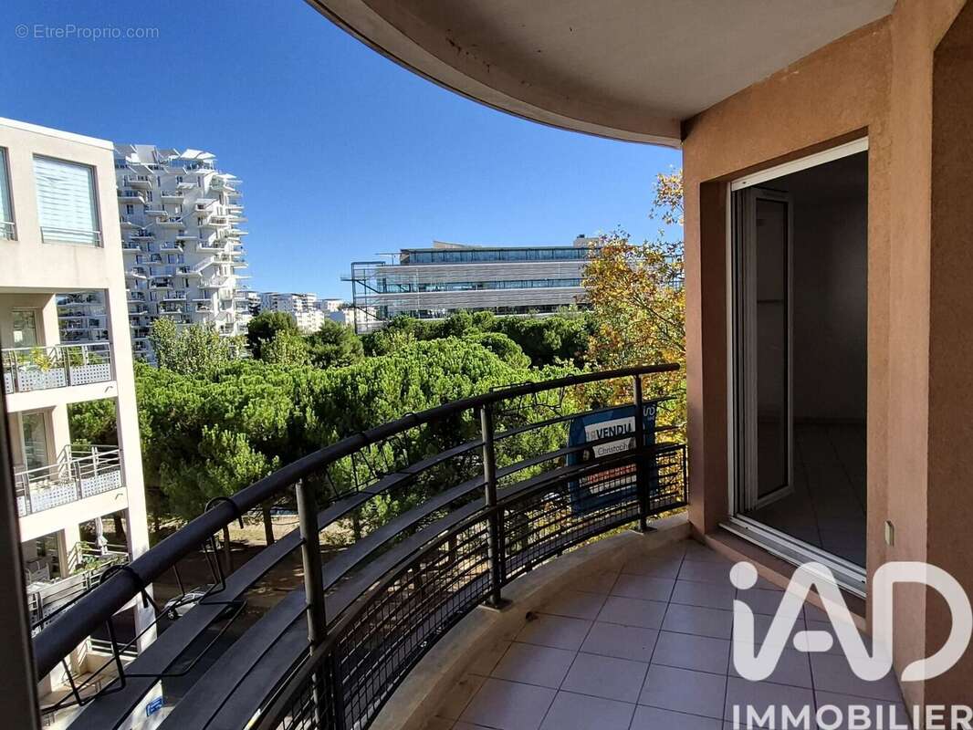 Photo 2 - Appartement à MONTPELLIER