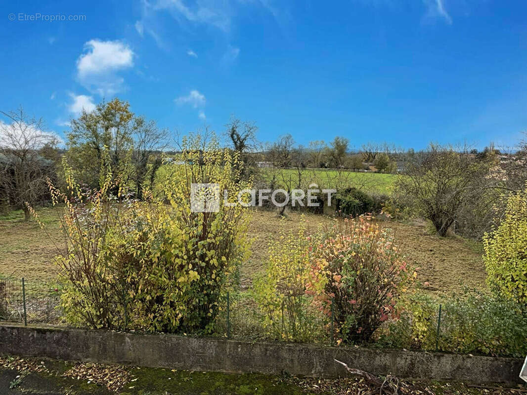 Terrain à MISERIEUX