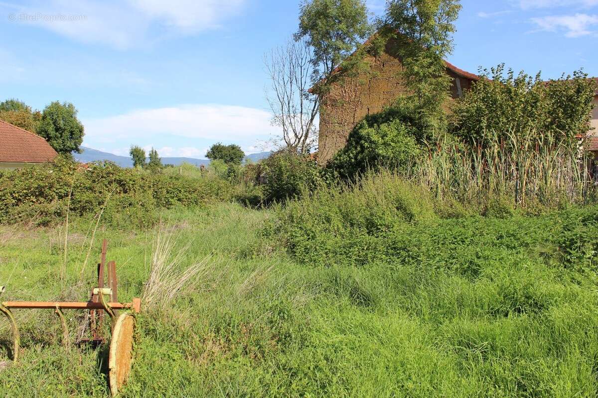 Parcelle constructible - photo 3