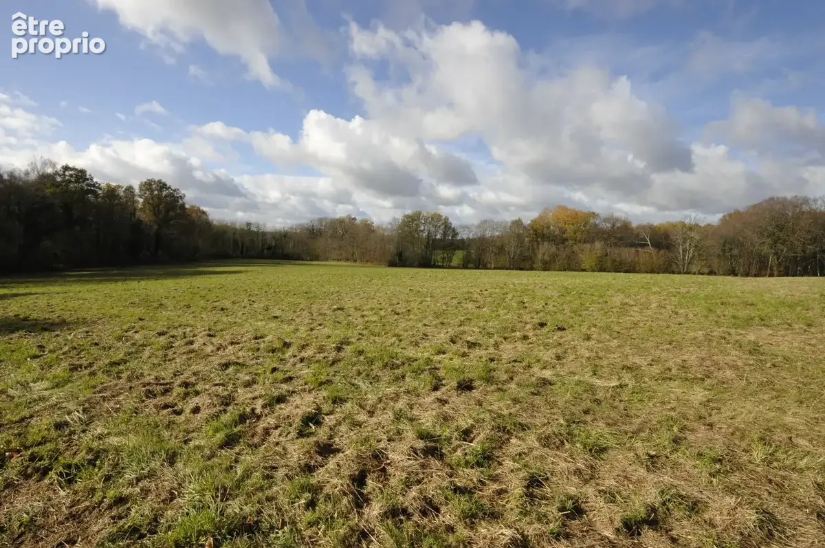 Terrain Agricole ou de Loisir d'un seul tenant, idéal pour chevaux ou animaux - photo 3