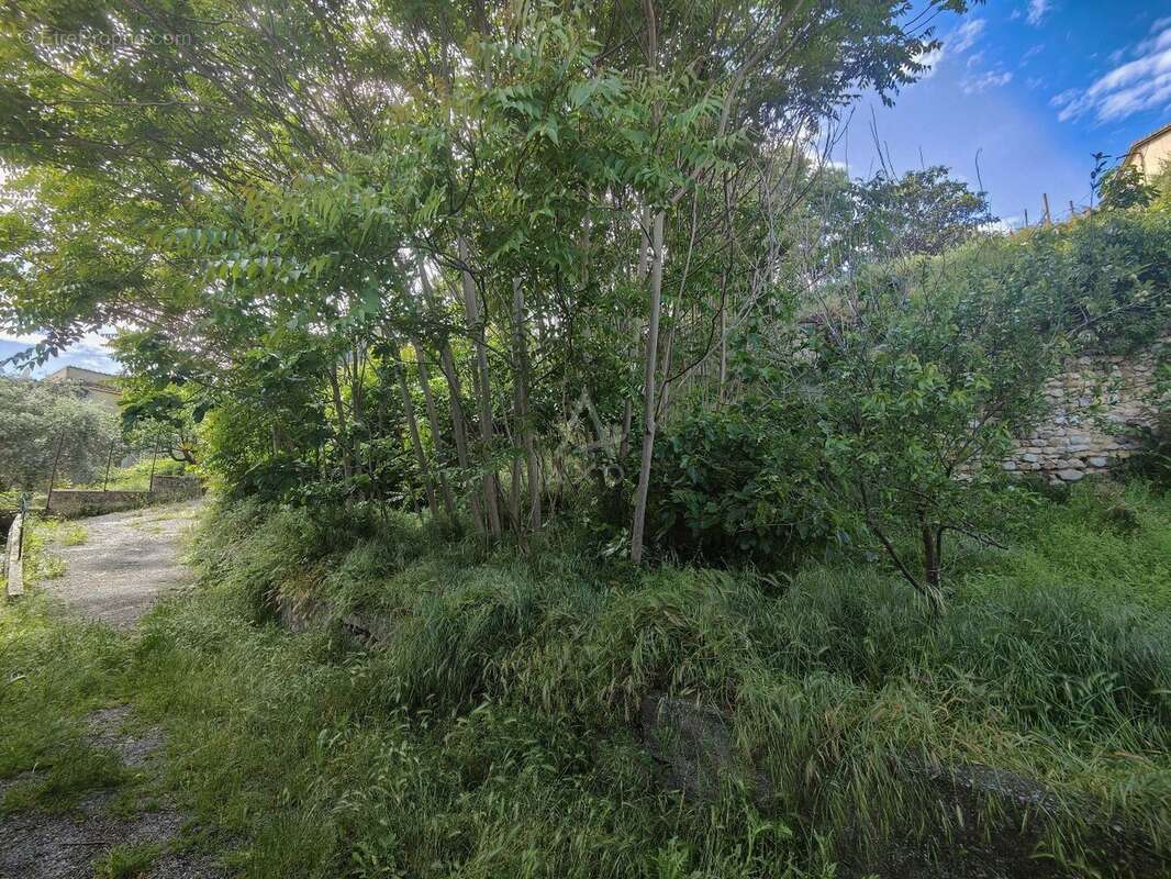 Maison à PUIMOISSON