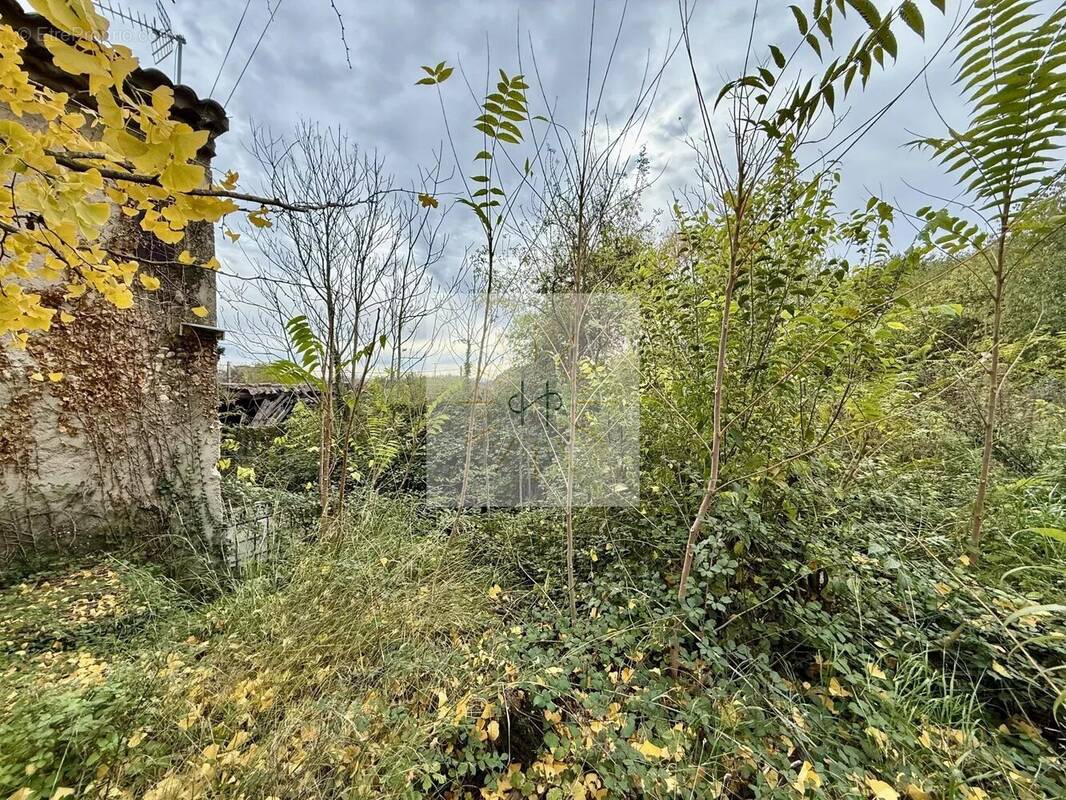 Terrain à ROCHEMAURE