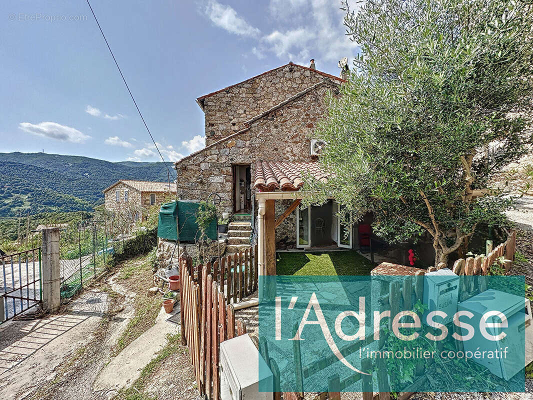 Appartement à MURZO