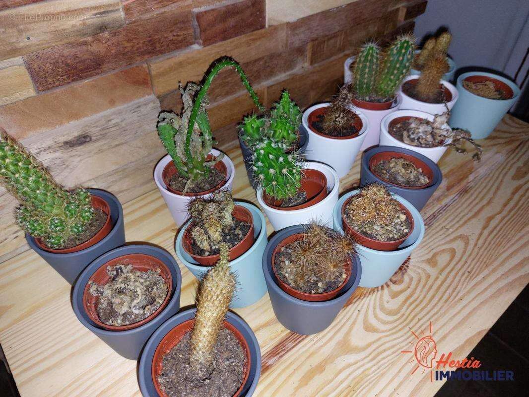 Commerce à CHALONS-EN-CHAMPAGNE