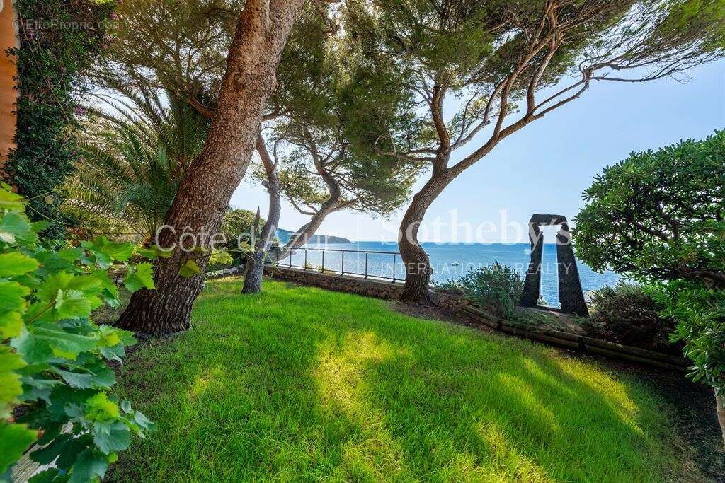 Cap de Nice, villa pieds dans l'eau de 229 m² avec accès direct à la mer et deux garages - photo 6