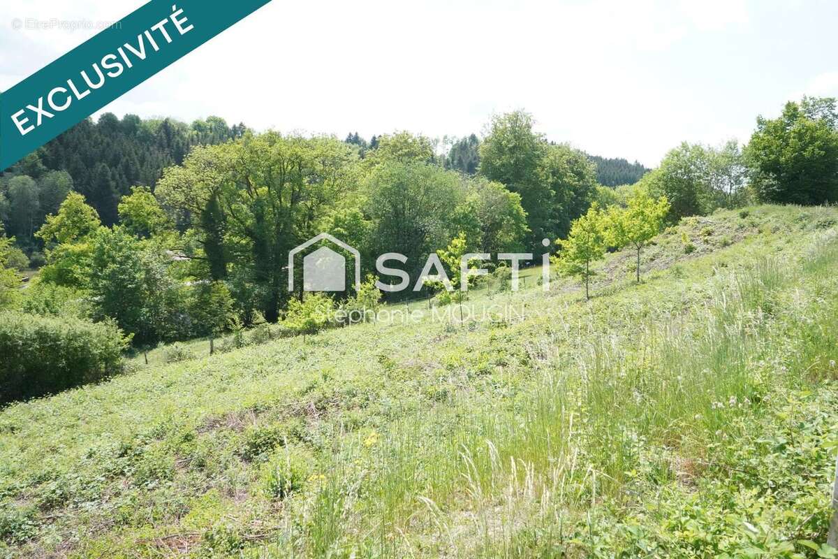 Photo 4 - Terrain à COURTEFONTAINE