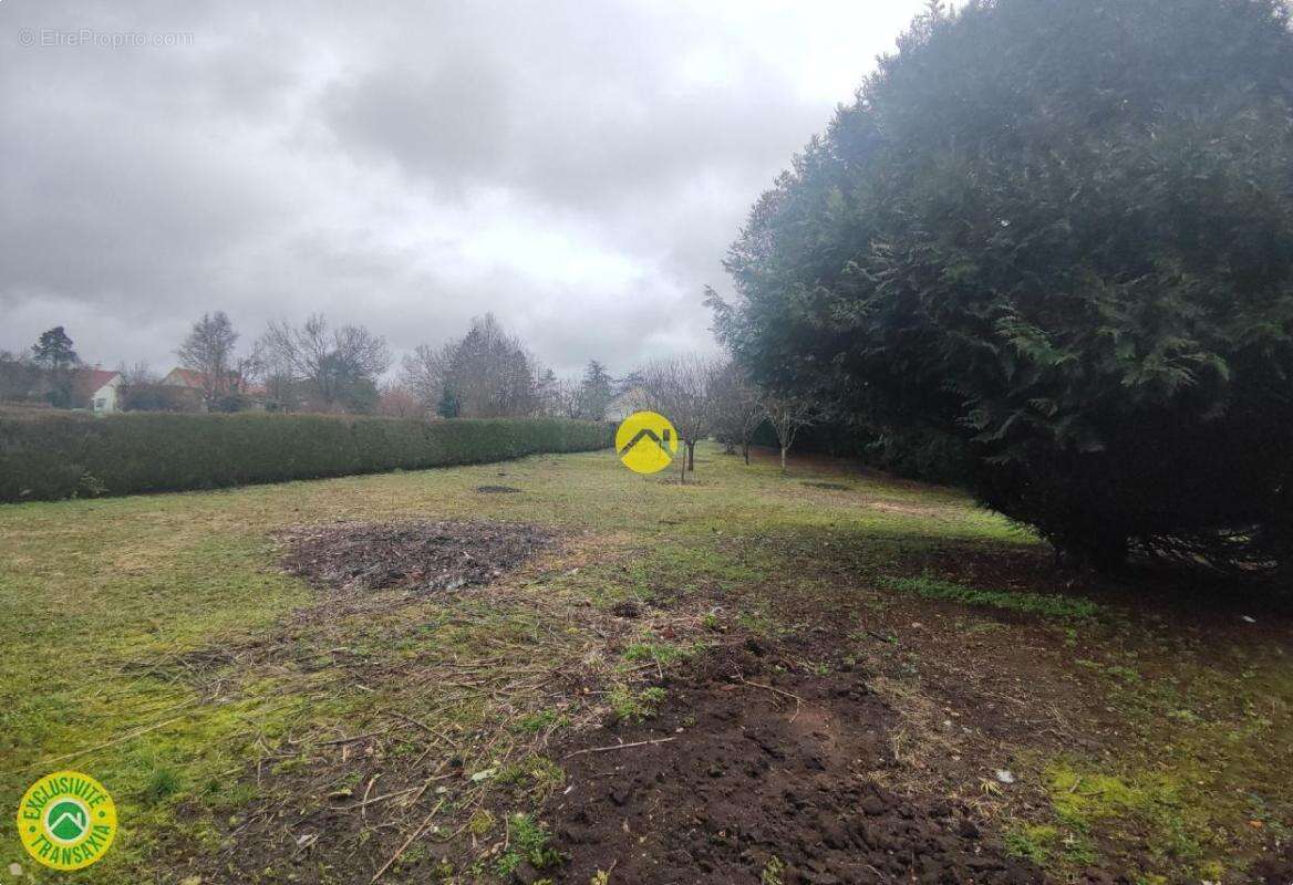 Terrain à PRECY