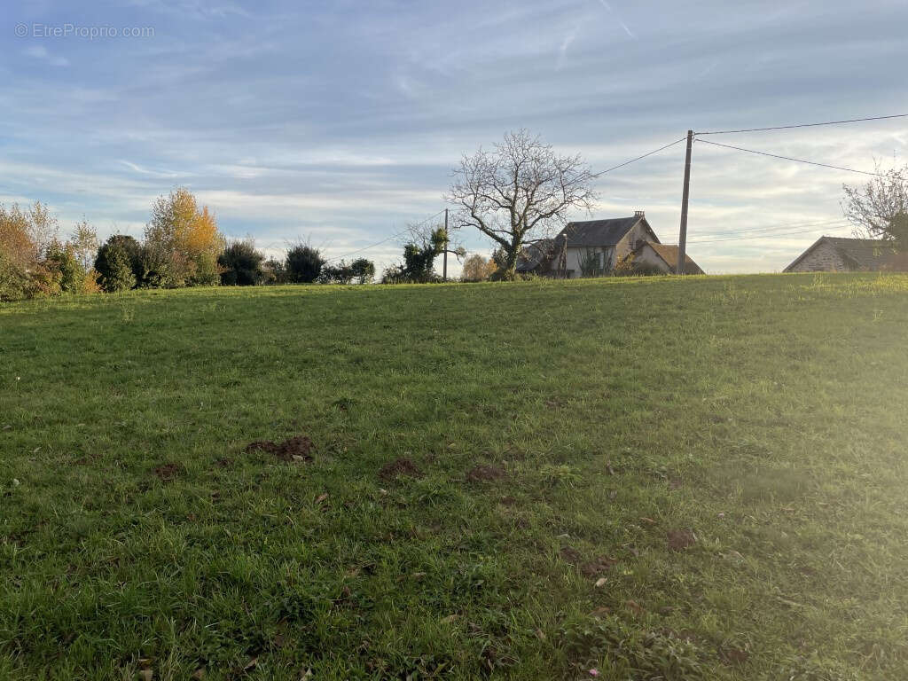 A l'entrée de Pompadour, direction Juillac - photo 6
