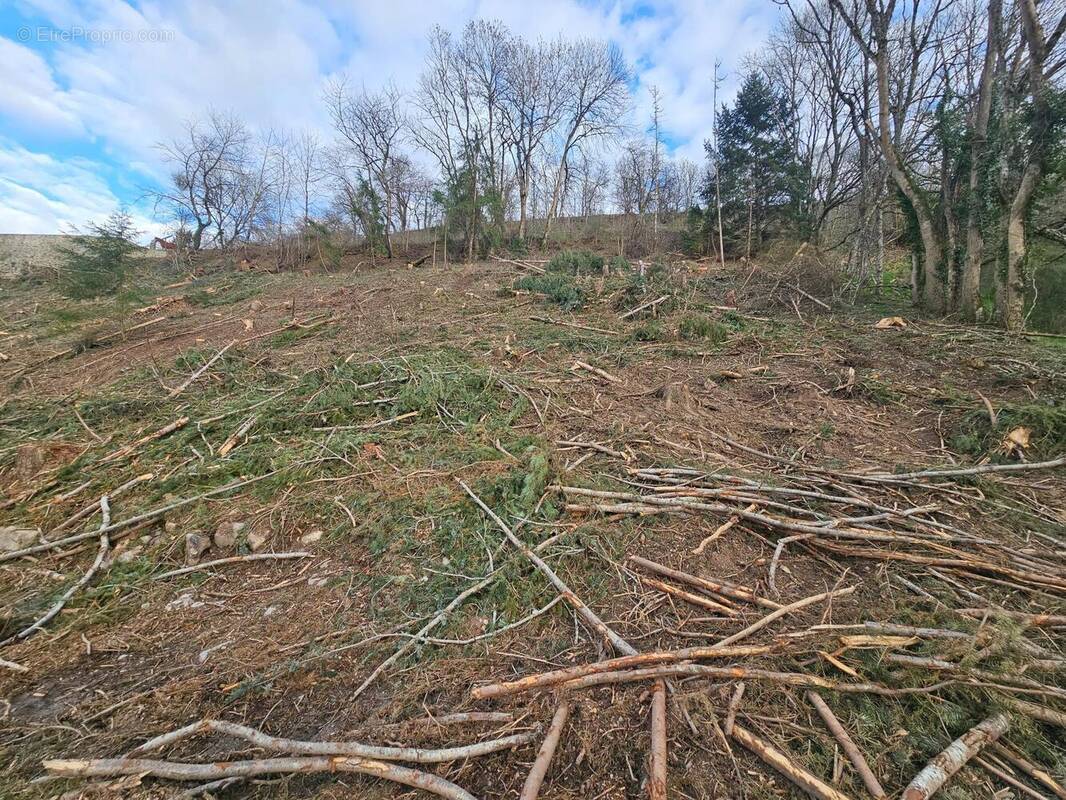 Photo 1 - Terrain à CHAUDES-AIGUES