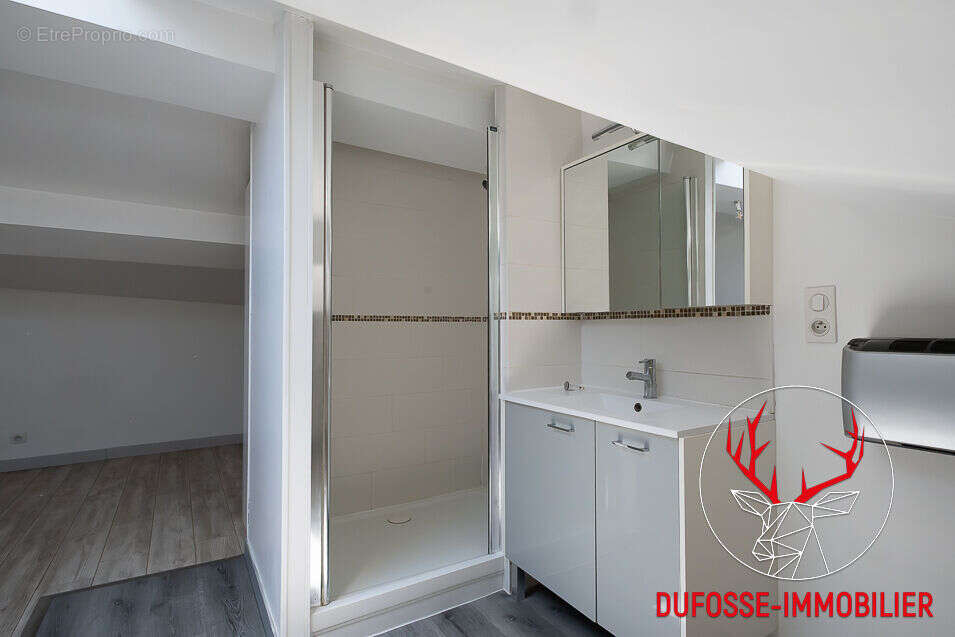 Pouilly -Appartement en duplex 2 pièces à vendre  Pouilly le Monial - photo 7