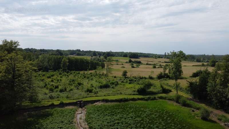 Terrain à BLETTERANS