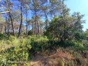 Terrain à BAGNOLS-EN-FORET