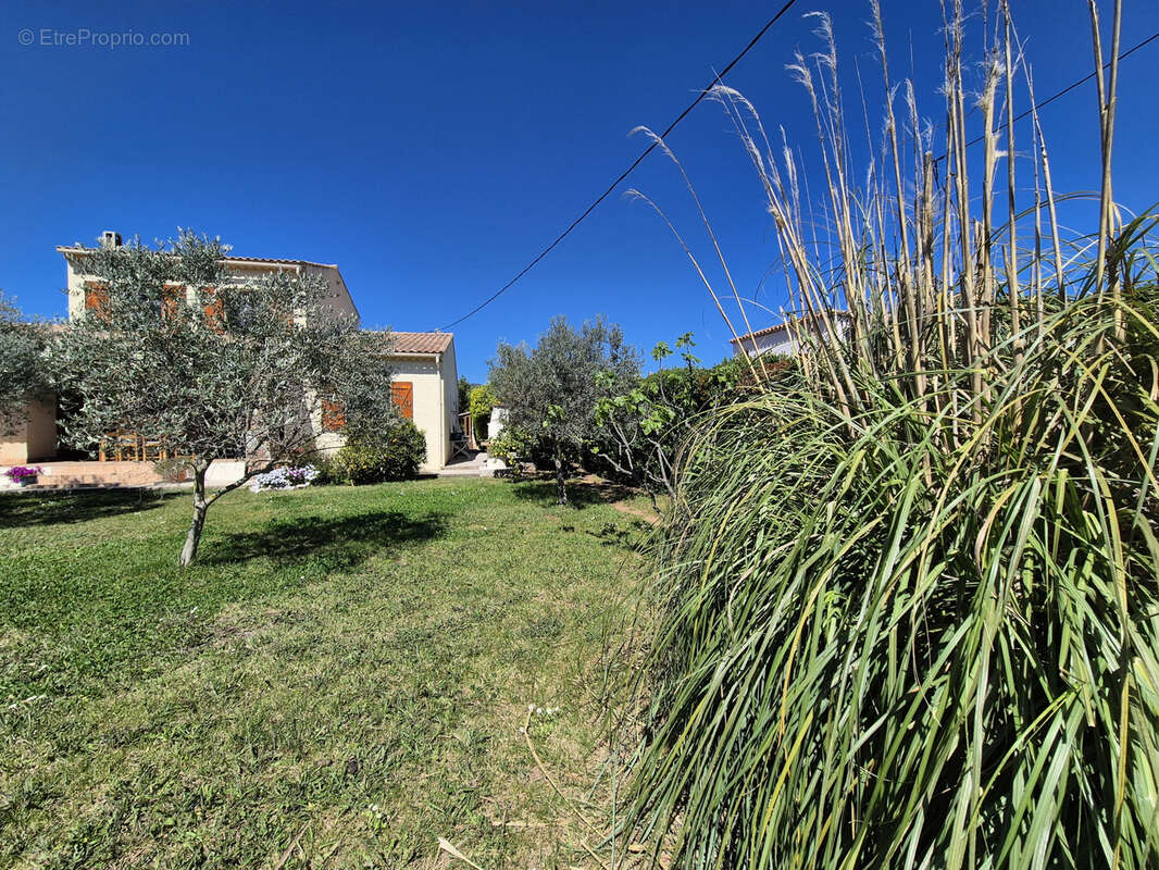 Maison à SOLLIES-PONT