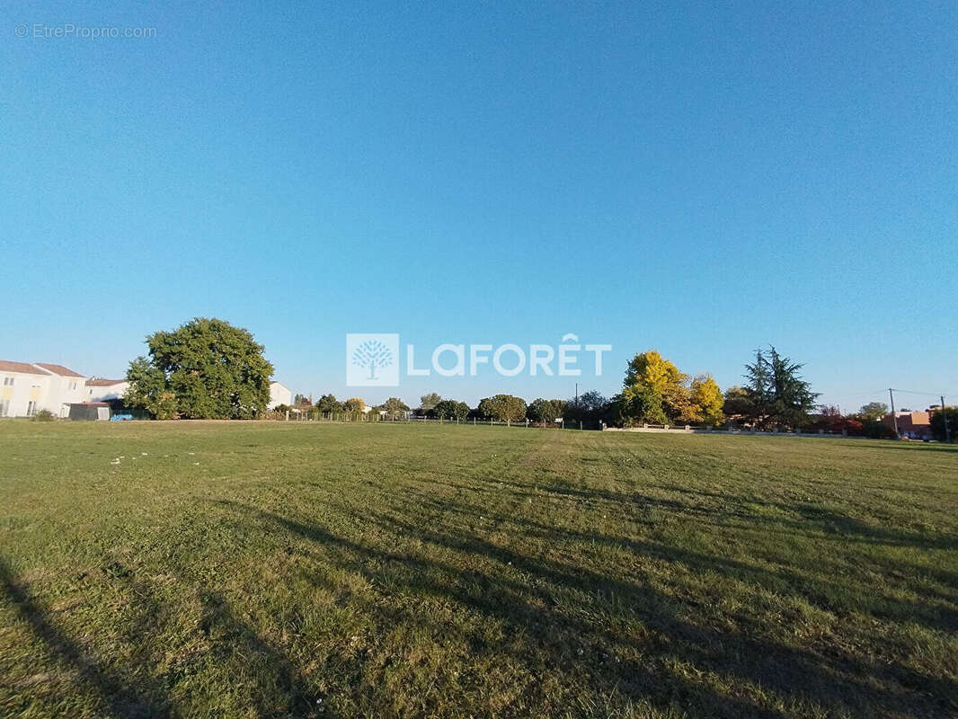 Terrain à CASTELSARRASIN