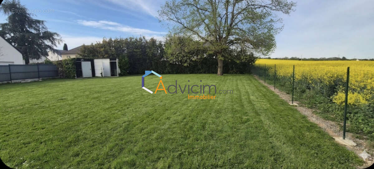 terrain sans vis à vis - Maison à FONDETTES