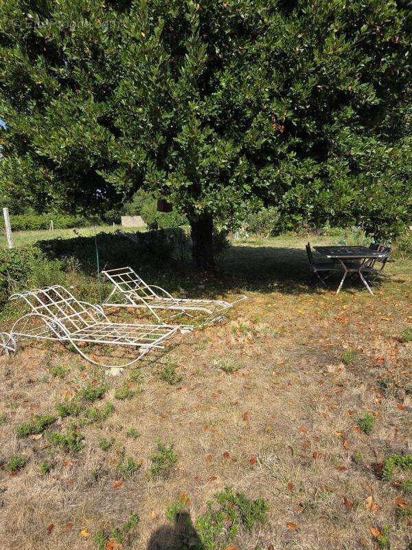 Maison à LA TURBALLE