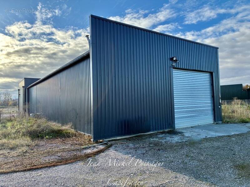 Commerce à MONTREJEAU