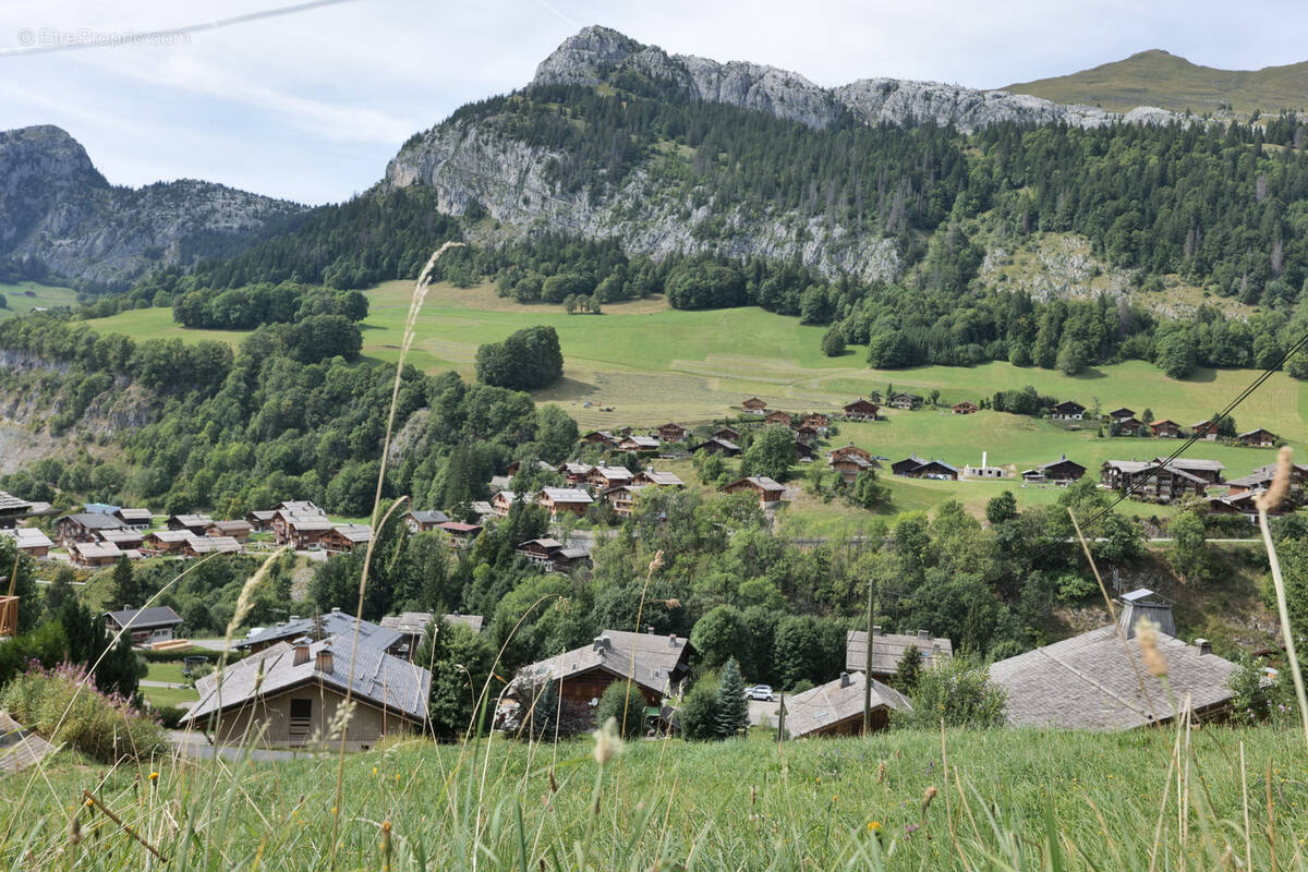 Terrain à LE GRAND-BORNAND
