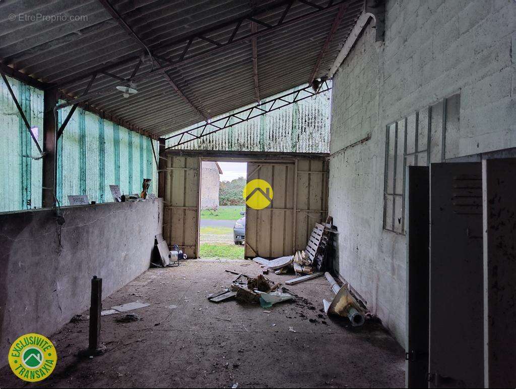 Commerce à LURCY-LEVIS