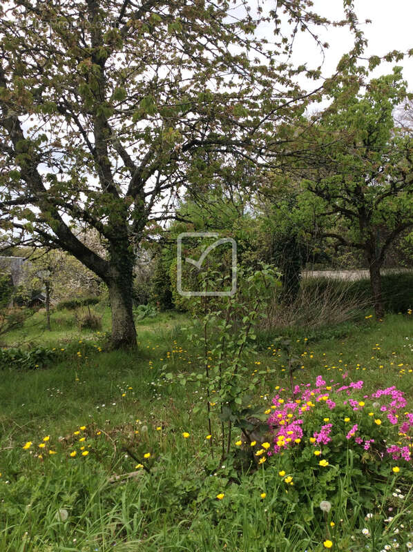 Maison de village - photo 18