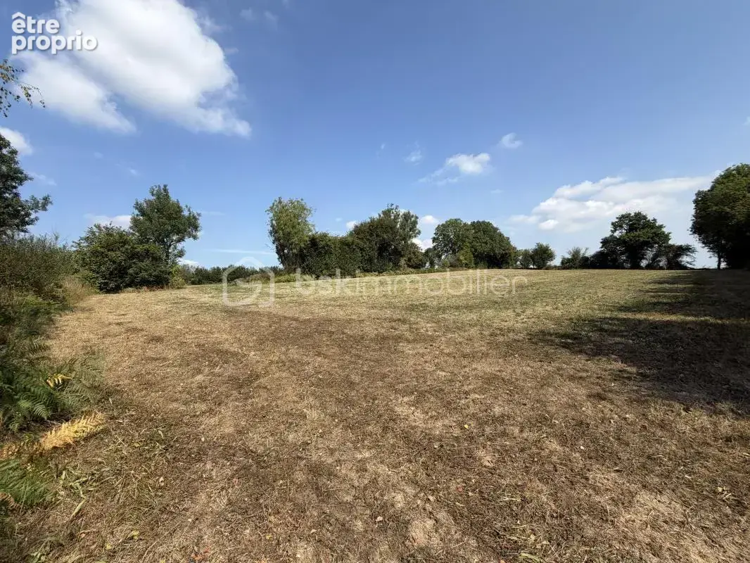 À VENDRE – Maison de caractère avec vaste terrain et installations équestres - photo 14