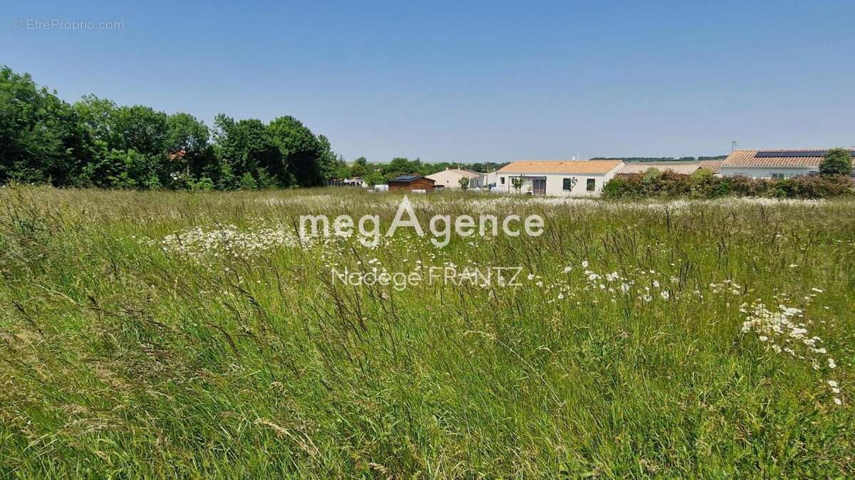 Terrain à LANDES