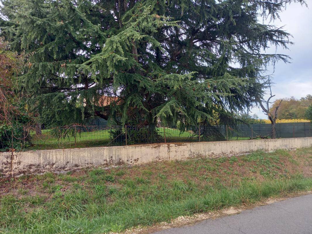 Terrain à MONTUSSAN