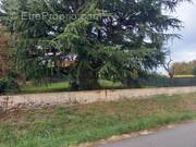 Terrain à MONTUSSAN