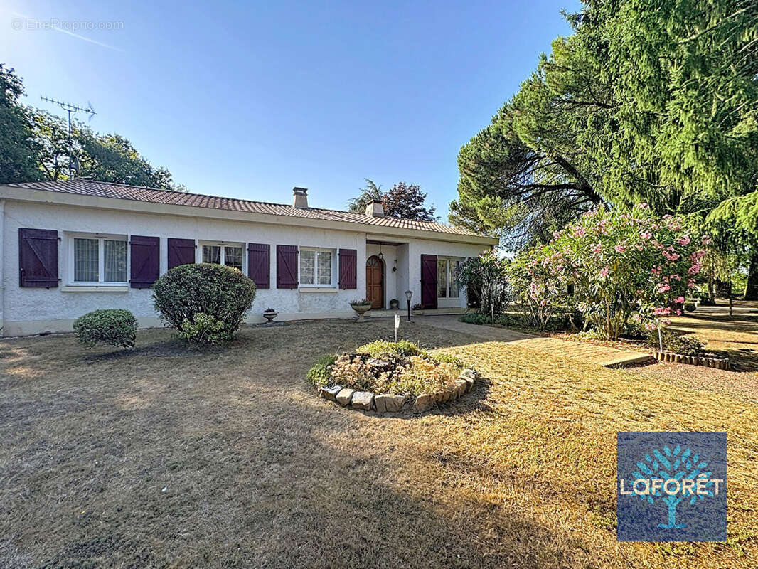 Maison Aubigny  plain pied  4 chambres avec piscine - photo 2