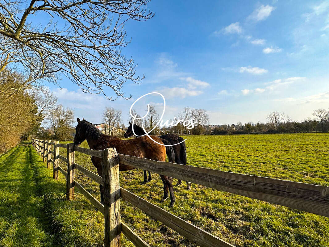 Maison à ISIGNY-SUR-MER