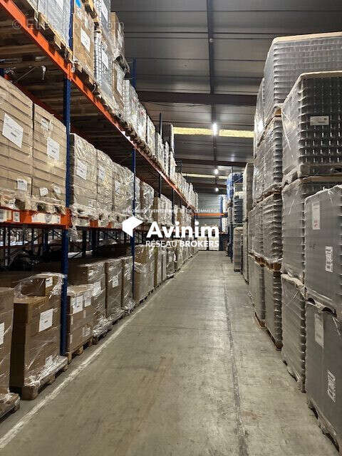 Commerce à ALTHEN-DES-PALUDS